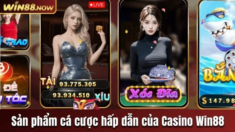 san-pham-hap-dan-thuoc-linh-vuc-casino-win88